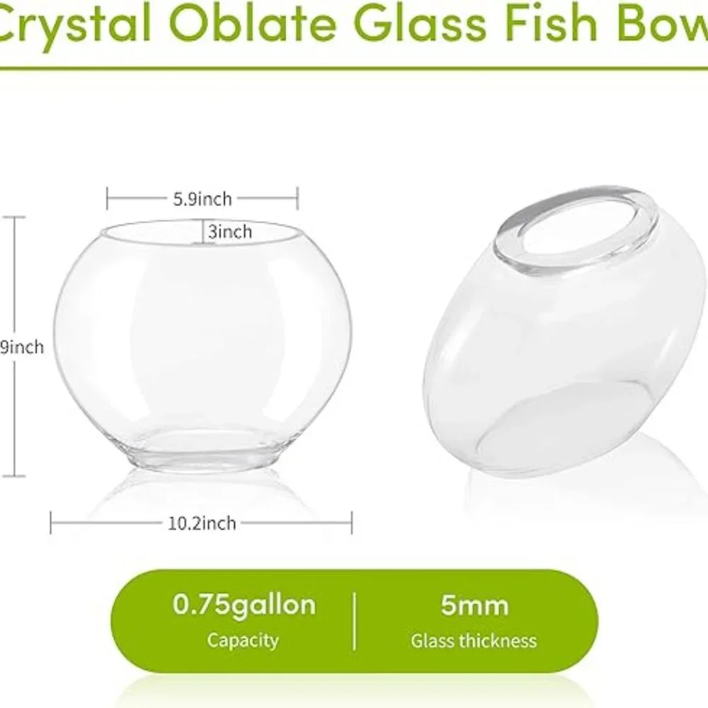 Hygger Glass Oblate Fish Bowl Tank Aquarium with Purple Toy - Pet Supplies